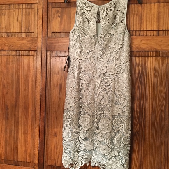 NWT! Adrianna Papell Lace Cocktail Dress - Picture 2 of 5